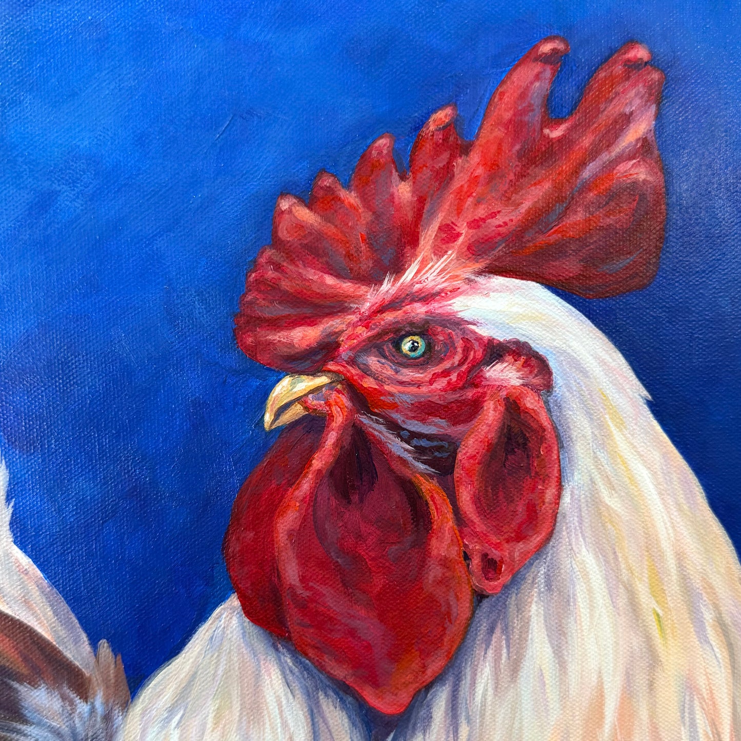 Rooster. Bright blue