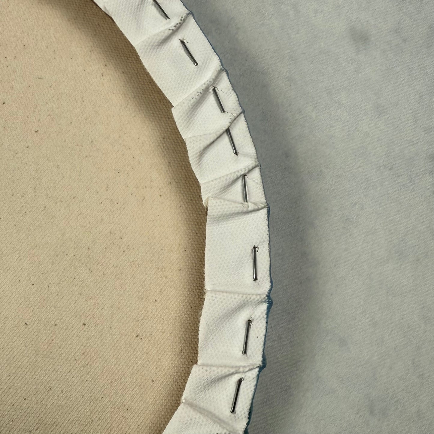 Stillness in Bloom. Coneflowers. Purple