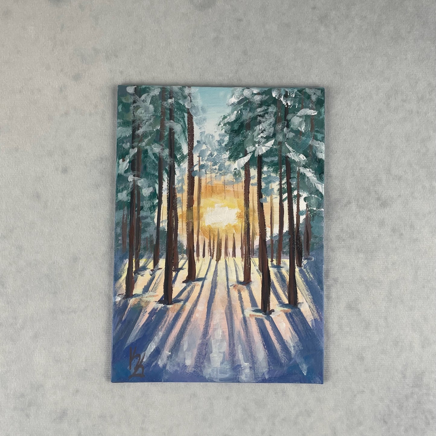 Winter sunset. White pines