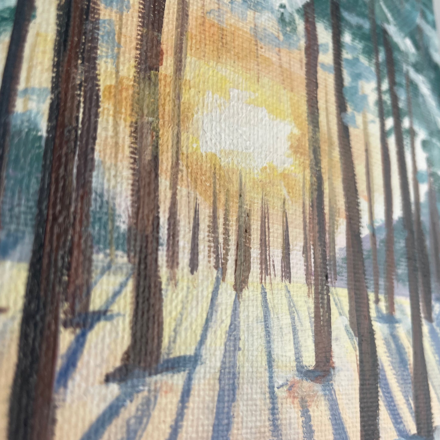 Winter sunset. White pines... Art, original small painting on canvas