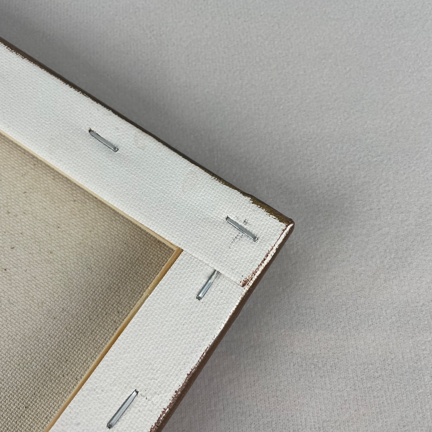 Christmas crimson cactus