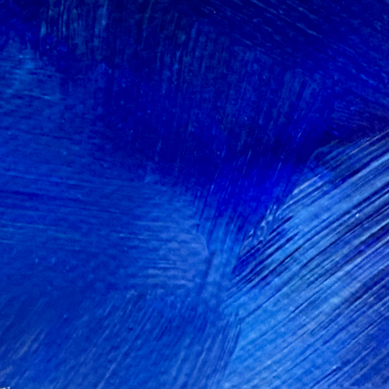 Rooster. Ultramarine. Print