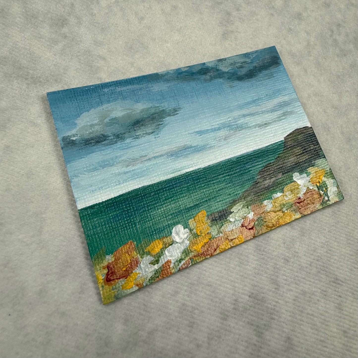 Stillness in bloom. Wild Flowers