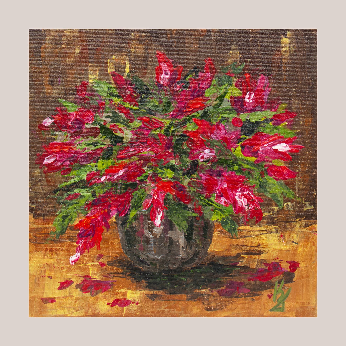 Christmas crimson cactus