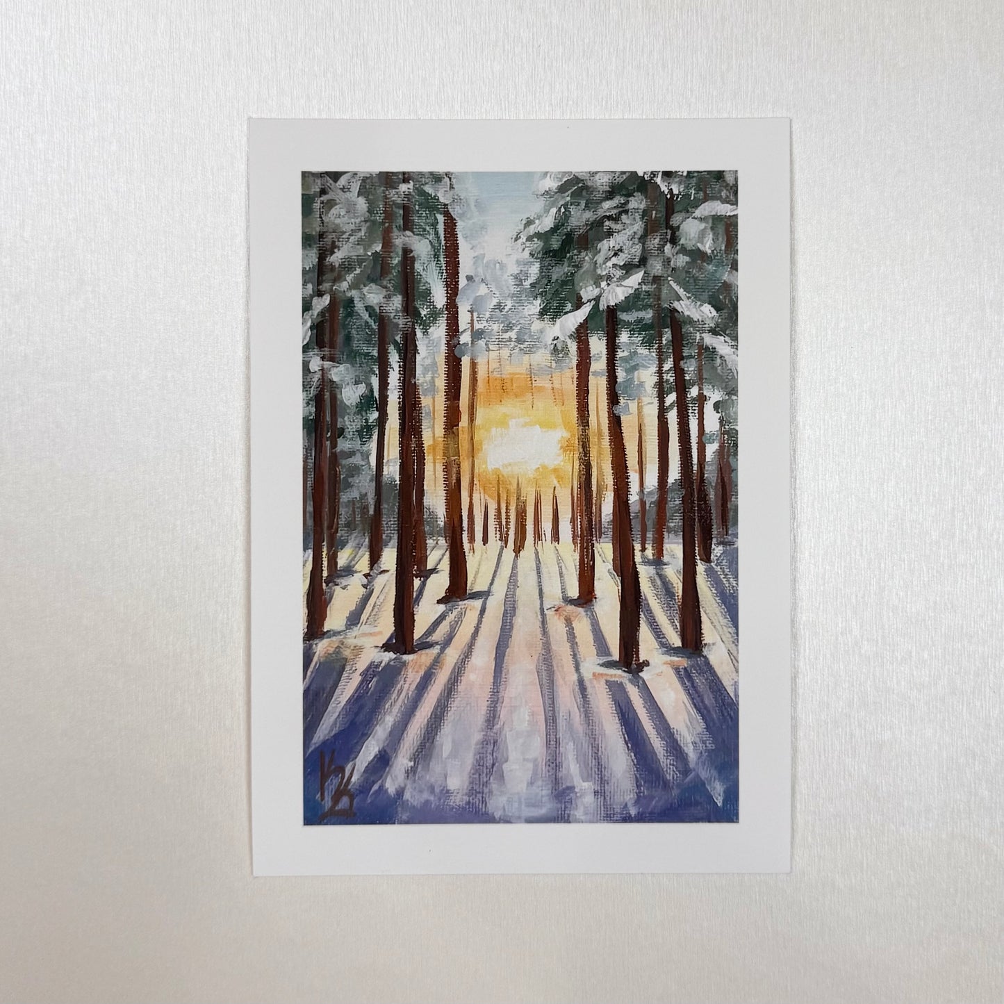 Winter sunset. White pines. Print