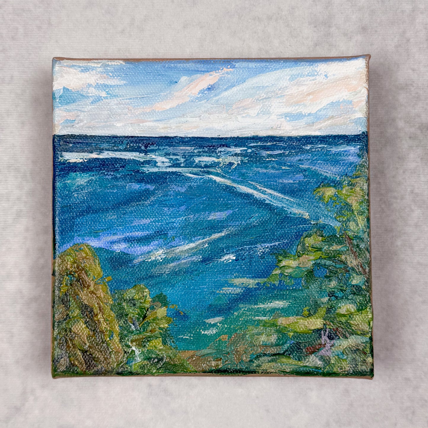 Silver Cliff Scape