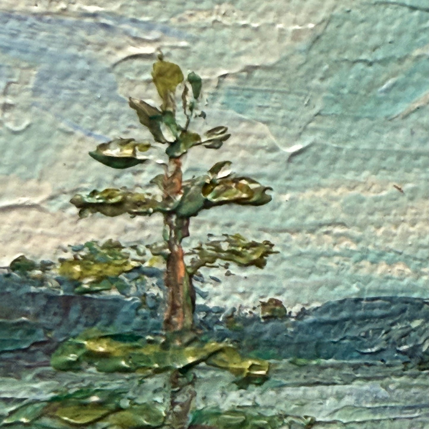 Voyageurs. Rainy Lake
