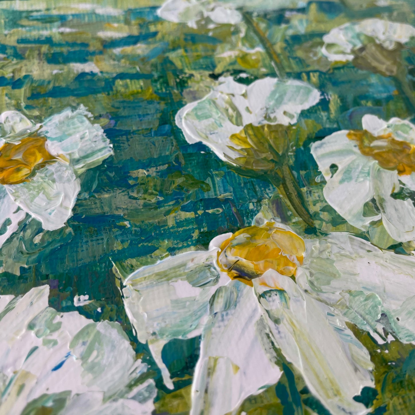 Daisies Meadow. Print